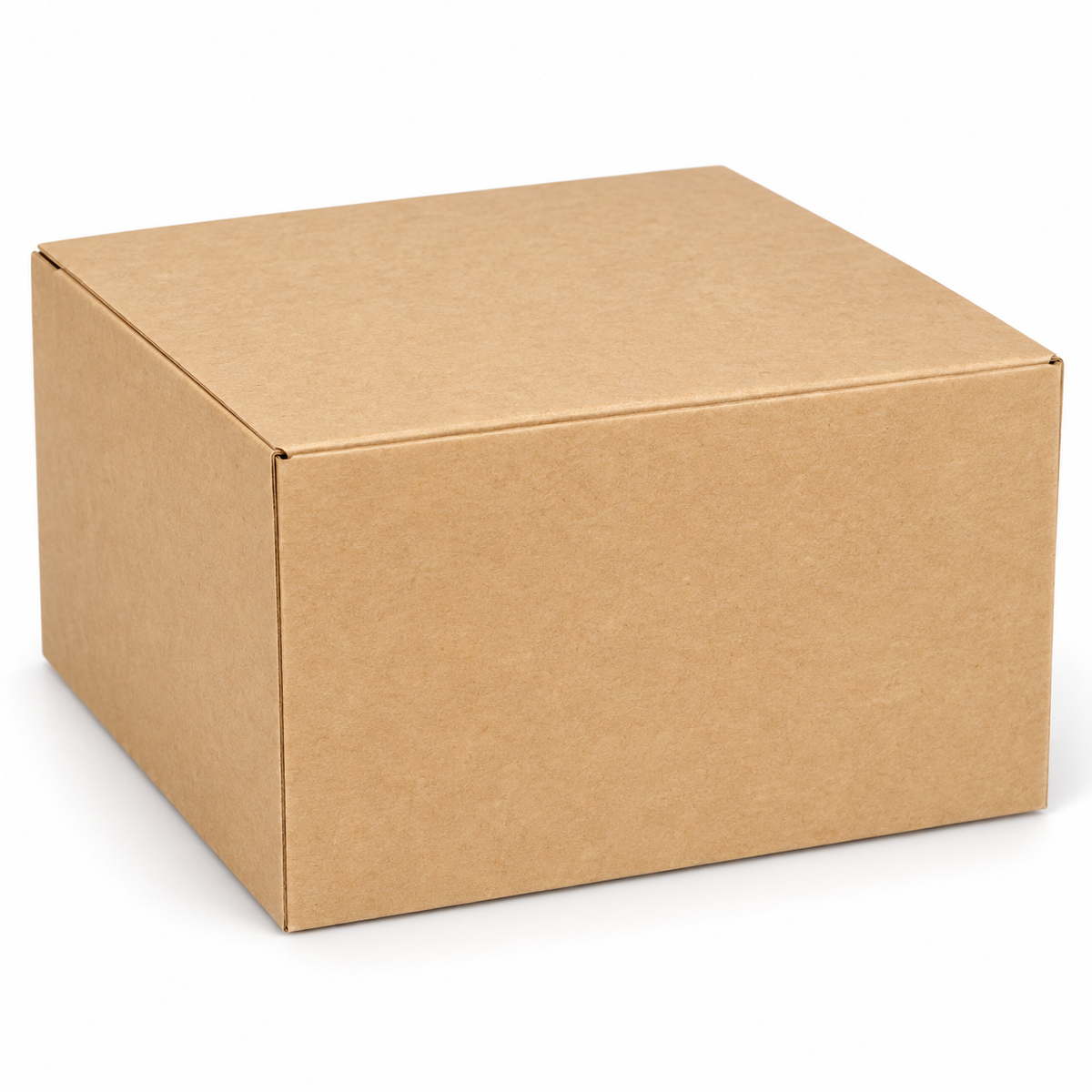 Caja kraft 10G 20 x 20 x 10 cm